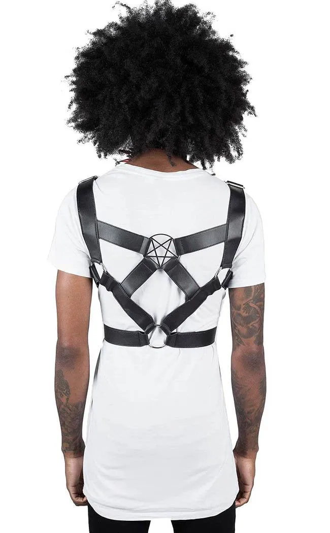 Age of Darkness Harness