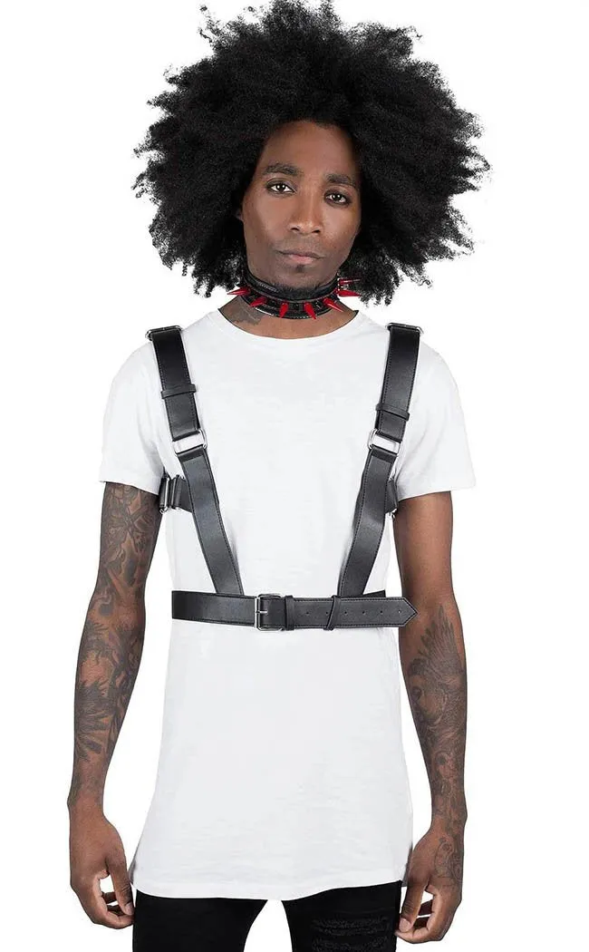 Age of Darkness Harness