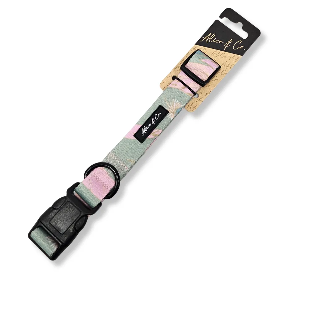 Alice & Co - Collar - Dream Catcher