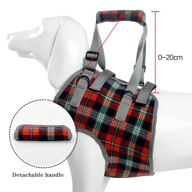 Assistive Dog Leg Straps Size S Front Leg Blue
