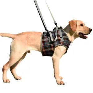 Assistive Dog Leg Straps Size S Front Leg Blue