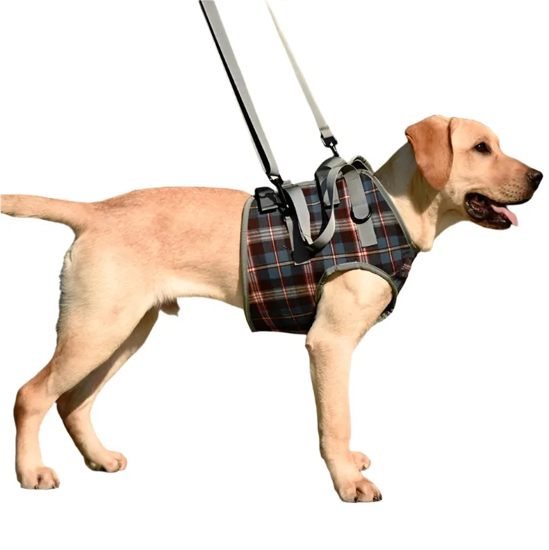 Assistive Dog Leg Straps Size S Front Leg Blue