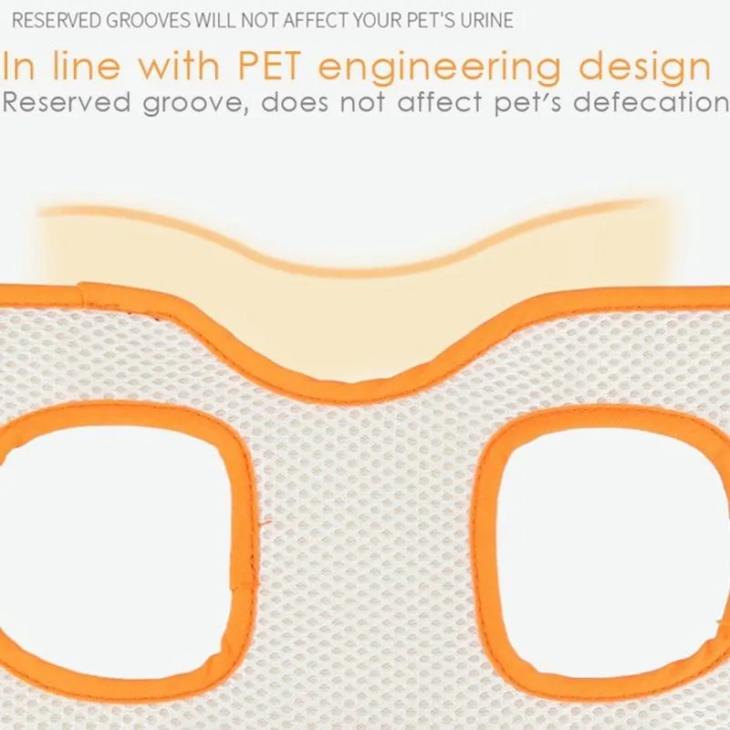 Assistive Pet Leash Belt For Disabled Dogs