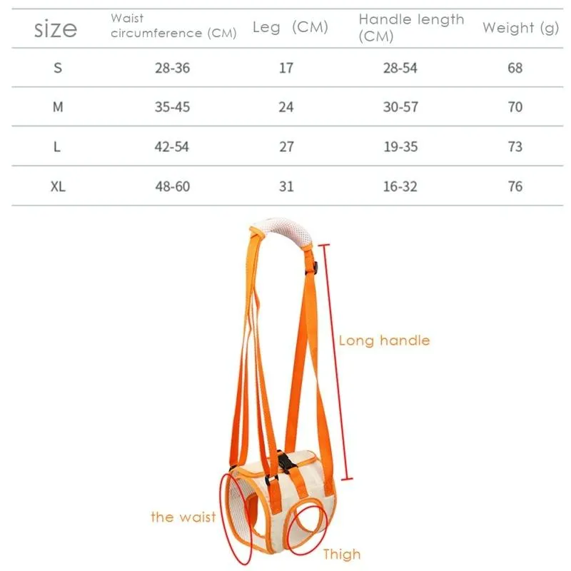 Assistive Pet Leash Belt For Disabled Dogs