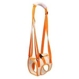 Assistive Pet Leash Belt For Disabled Dogs