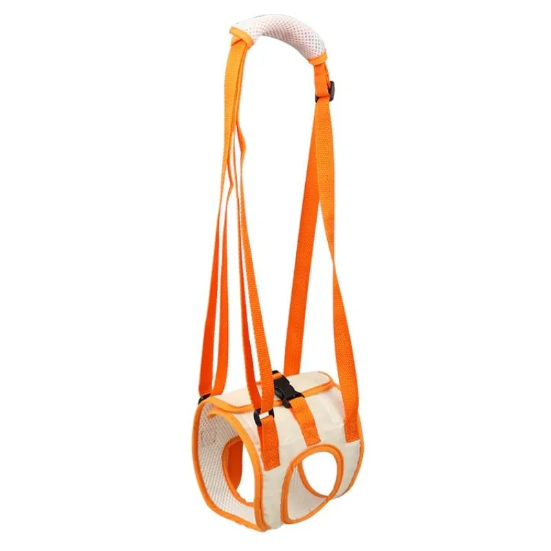 Assistive Pet Leash Belt For Disabled Dogs