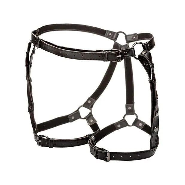 Euphoria Riding Thigh Harness