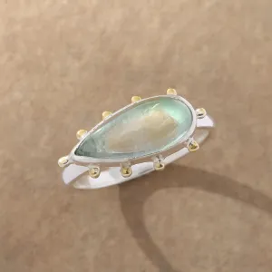 Halley Ring