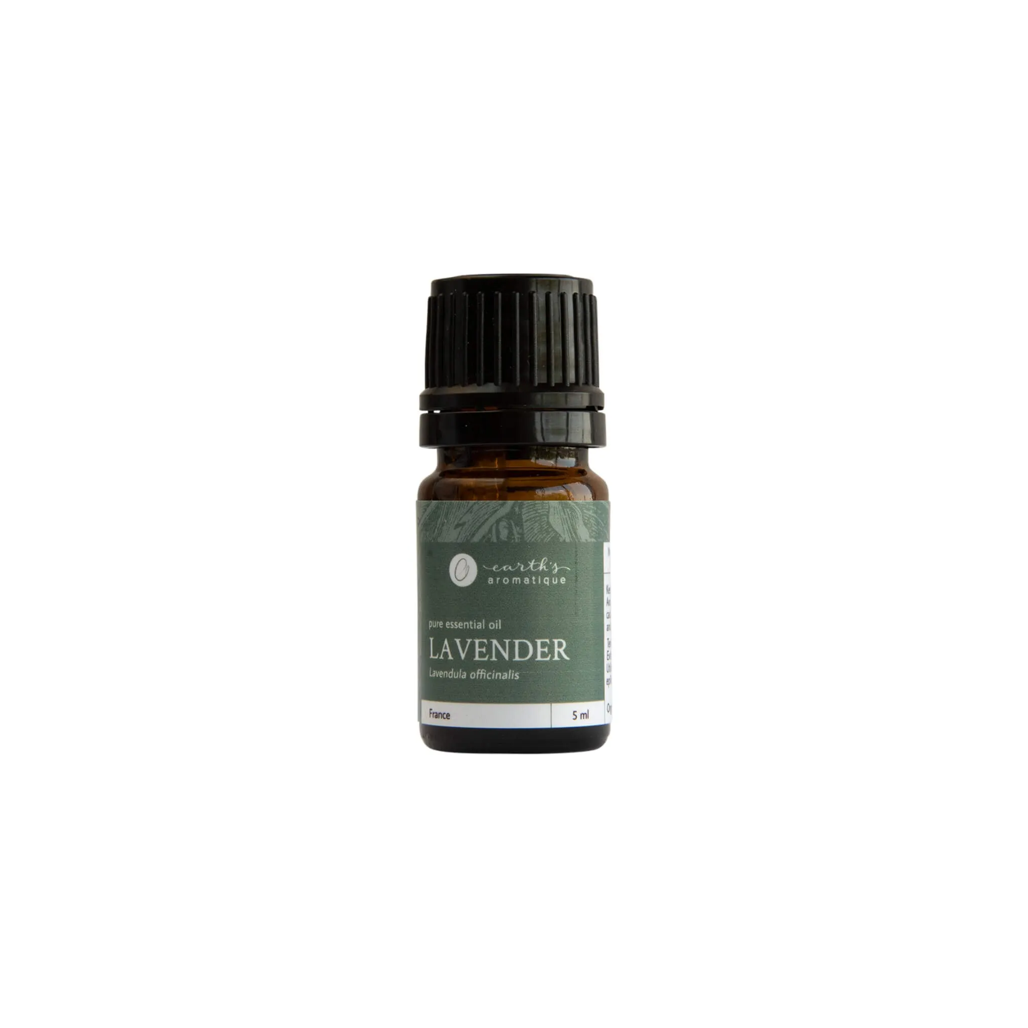 Lavender Essential Oil