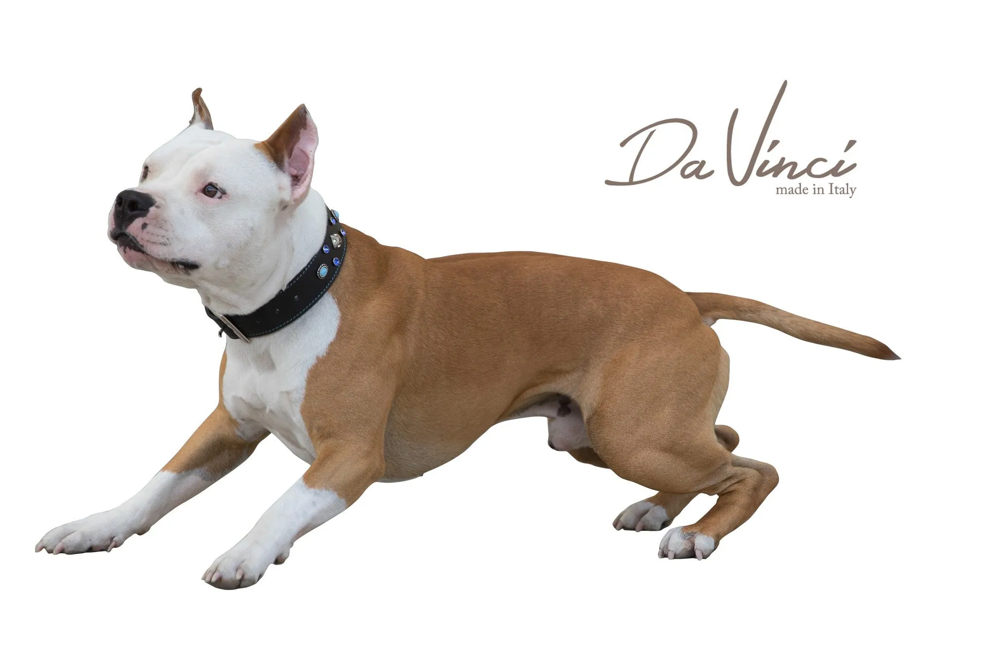 Maddalena Leather Dog Collar