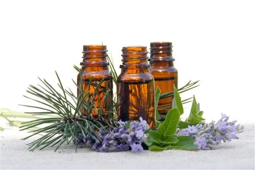 Rosa Damascena Absolute | Luxurious Skincare and Aromatherapy