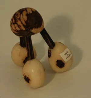Tagua Seed Massager